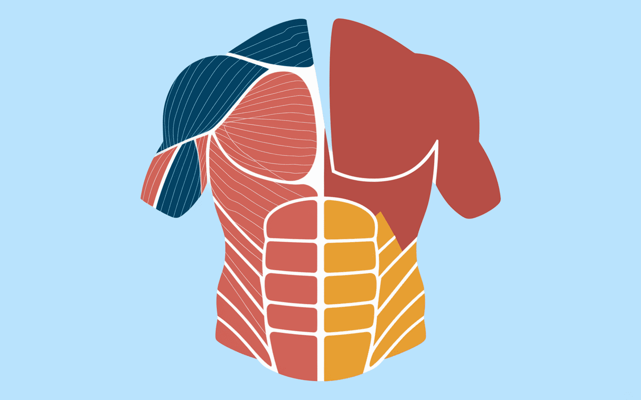 Zones graisse cuisse comment affiner ses cuisses