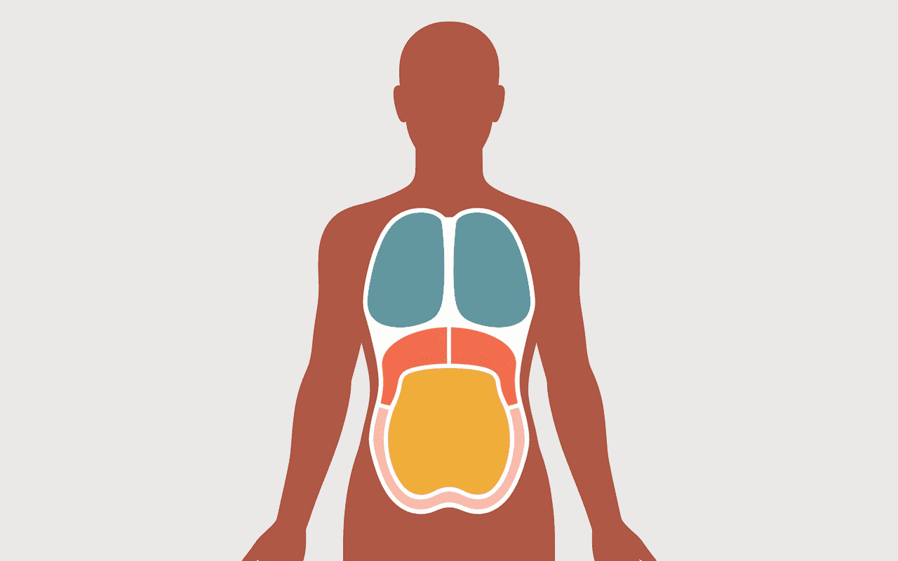 schema comment perdre des poignees d amour zones abdominales