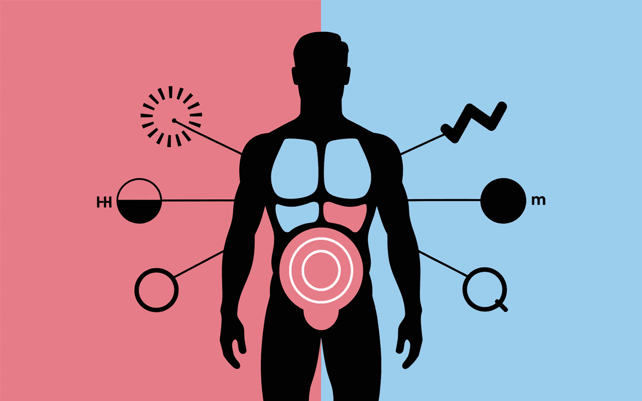 Causes médicales comment perdre du ventre pour un homme rapidement