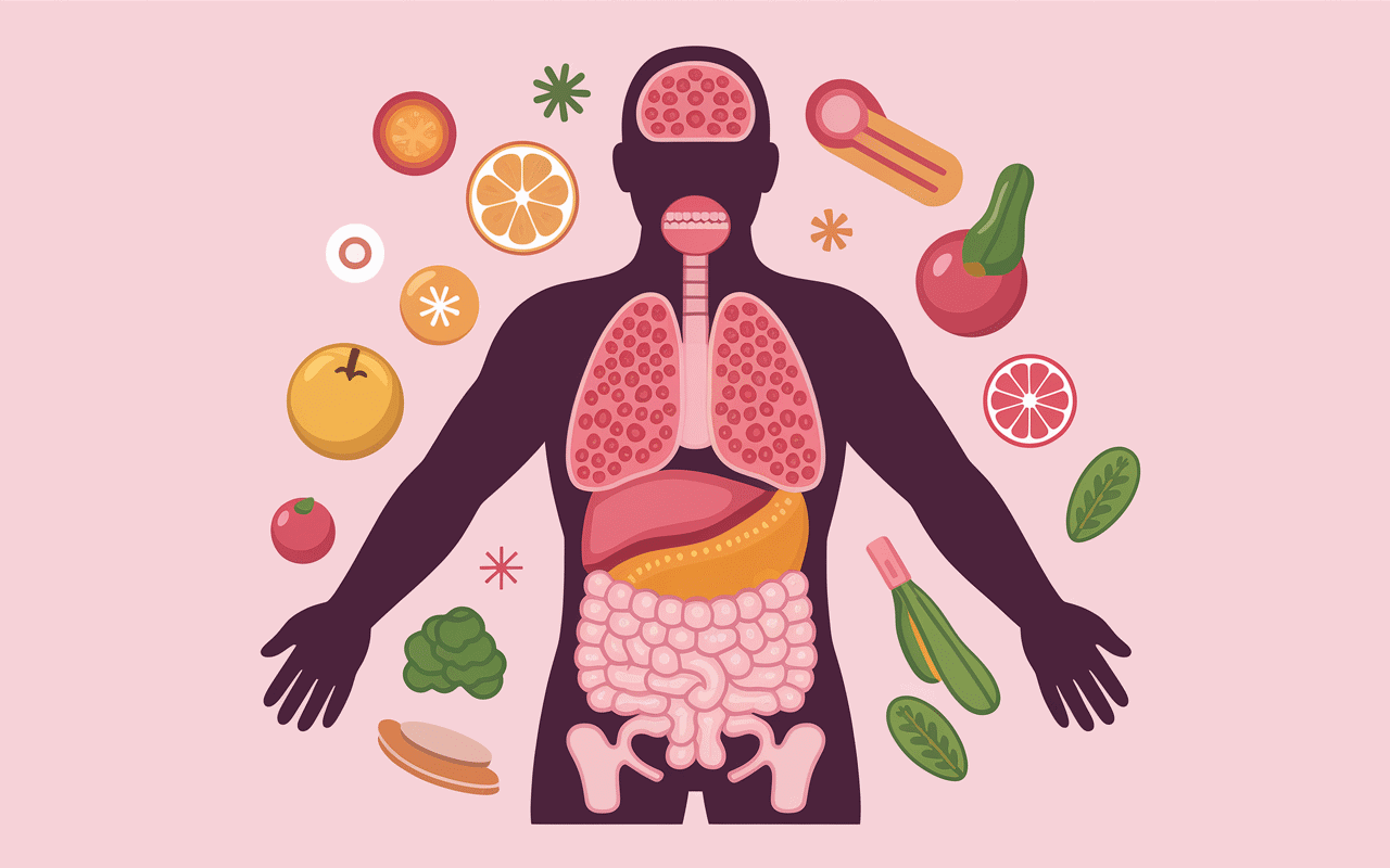 comment perdre ses poignees d amour schema stockage graisse taille