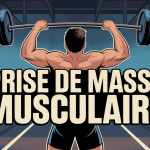 Silhouette homme musclé haltères comment prendre de la masse musculaire