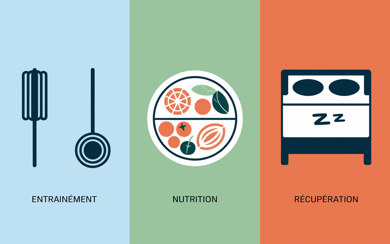 Corps homme muscle naturel piliers entraînement nutrition récupération