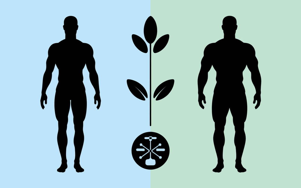 corps muscle mais pas trop différence tonique et bodybuilding