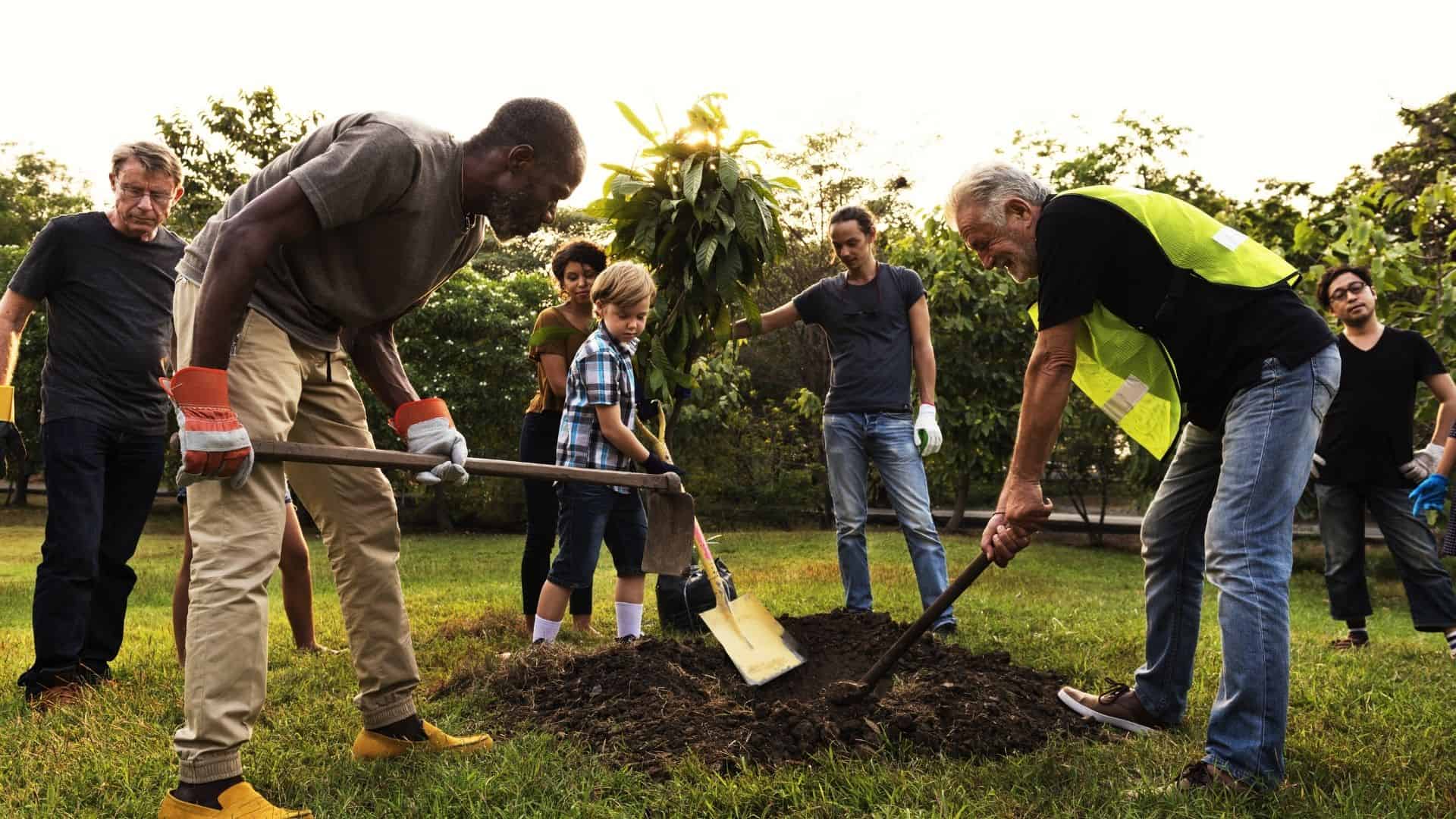 The City of San Diego Implemented GovGrants to Help Promote Community Revitalization