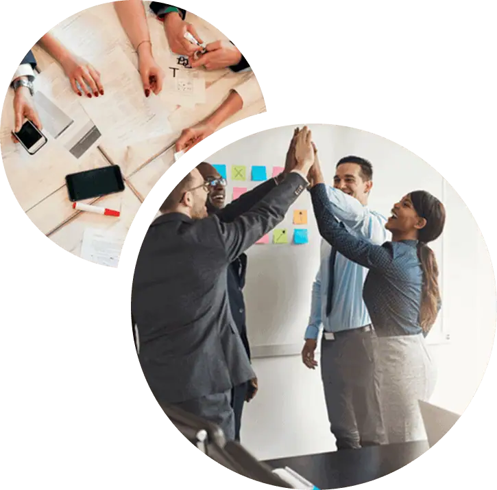 Customer Experience - CX Services