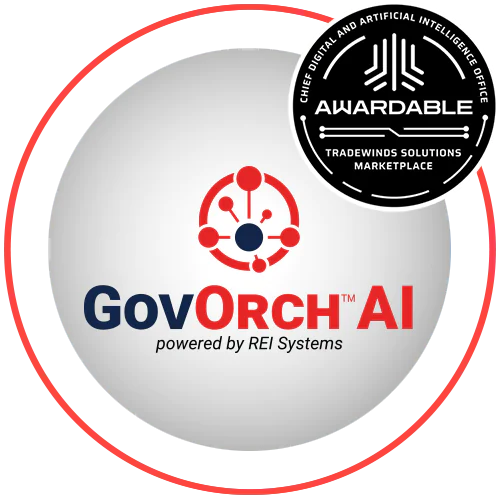 AI Solutions - REI Systems
