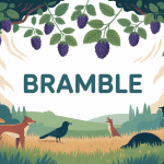 Illustration bramble ronce sauvage biodiversité paysage