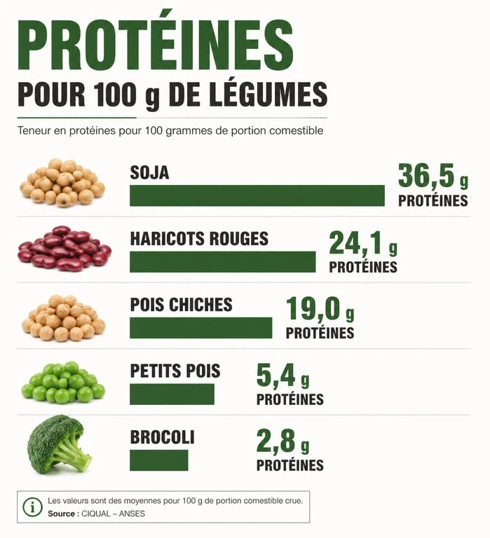 Infographie comparative des légumes riches en protéines : teneur en grammes pour 100g