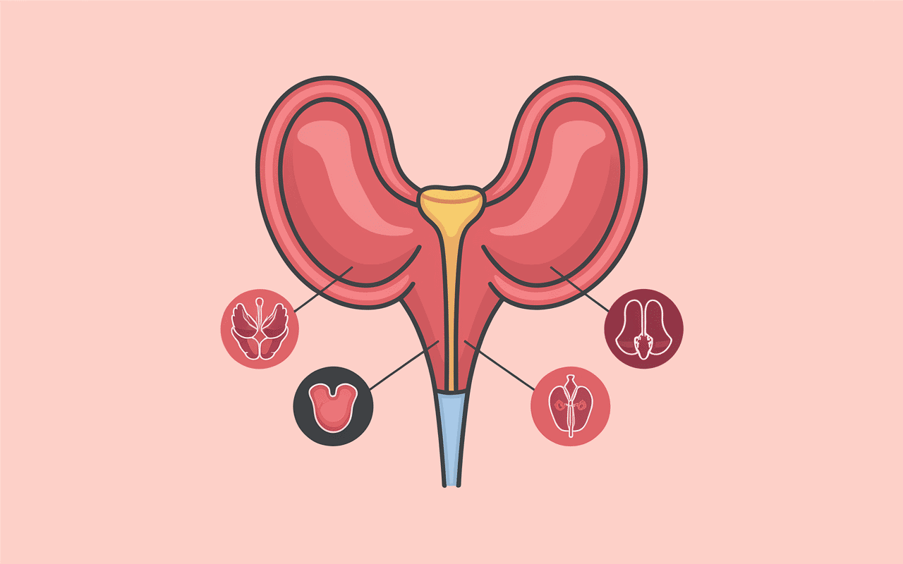 Diagramme cystocath et pathologies urologiques