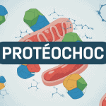 Image Proteochoc cellules biologiques en réparation