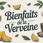 verveine bienfaits the ou tisane tasse fumante avec feuilles
