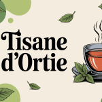 Tasse tisane ortie bienfaits the ou tisane avec feuilles