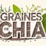 Illustration colorée de graines de chia avec feuilles et graines dispersées