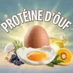 Œuf ouvert avec protéine d œuf en illustration vectorielle