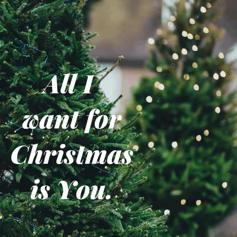 200+ Christmas Quotes and Sayings that's Craft-Worthy! 3 christmas tree with quote