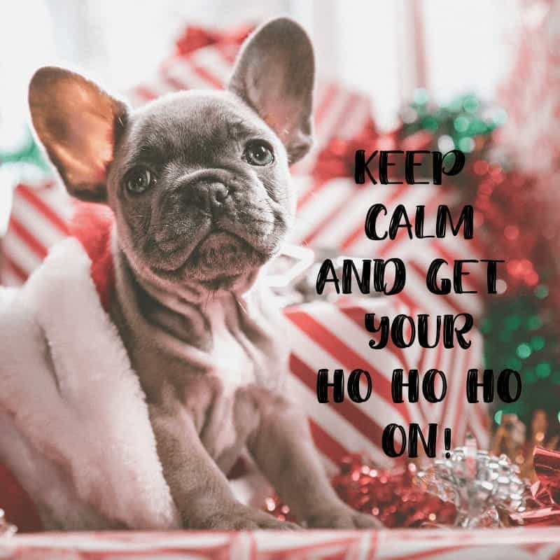 200+ Christmas Quotes and Sayings that's Craft-Worthy! 5 pup and christmas