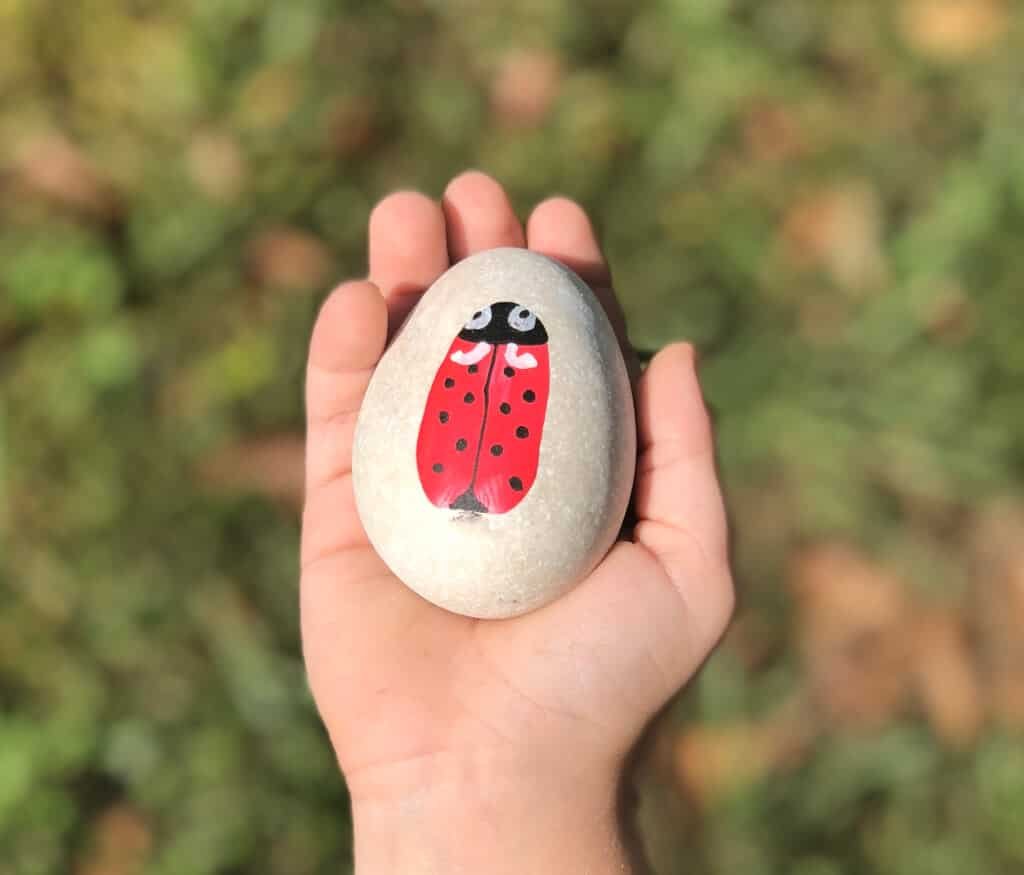 Story Stones Guide: How to Make And Ways to Use Them 14 lady bug Stone