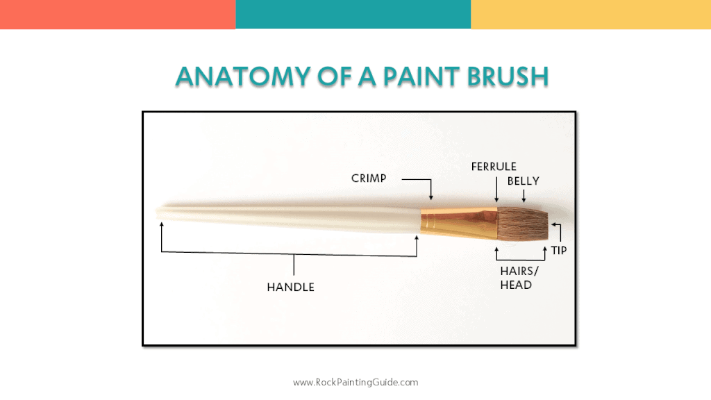 Rock Painting Supplies: What You Need to Know 6 anatomy of a paint brush