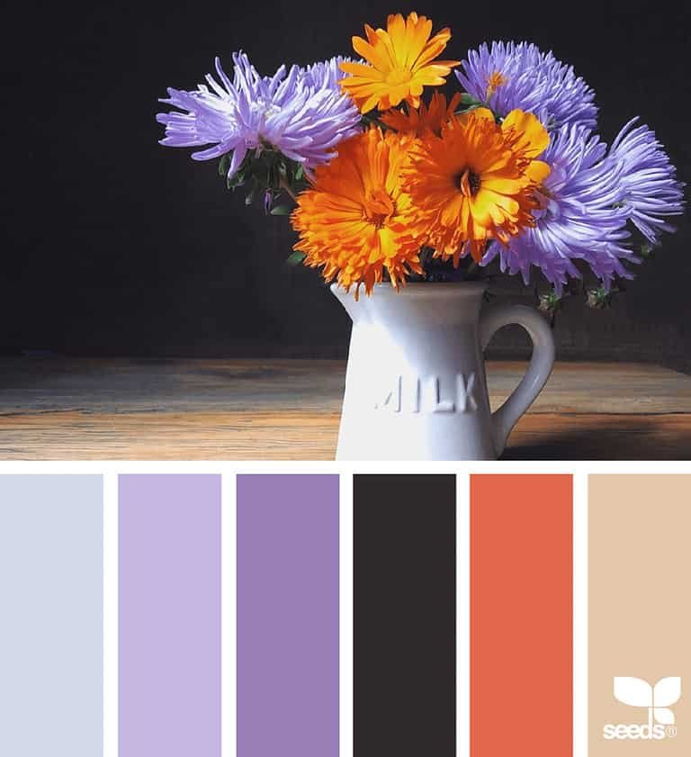 How to Mix Colors with Confidence 25 9_11_2ColorFlora_elena palette