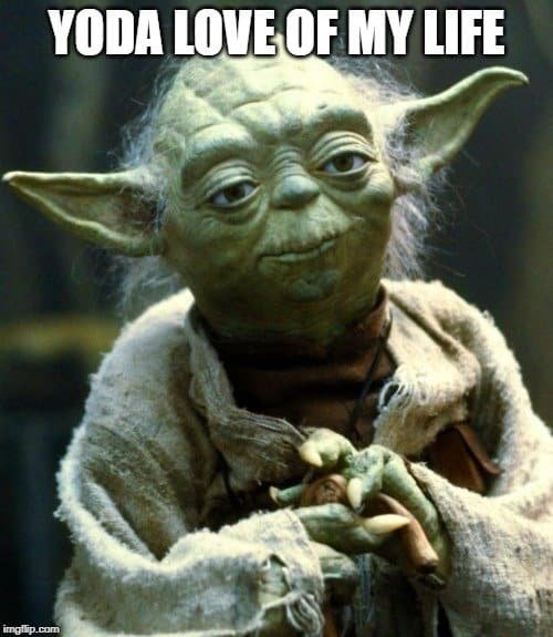 55+ Epic Star Wars Love Quotes That Will Make You Swoon 10 Yoda saying love of my life
