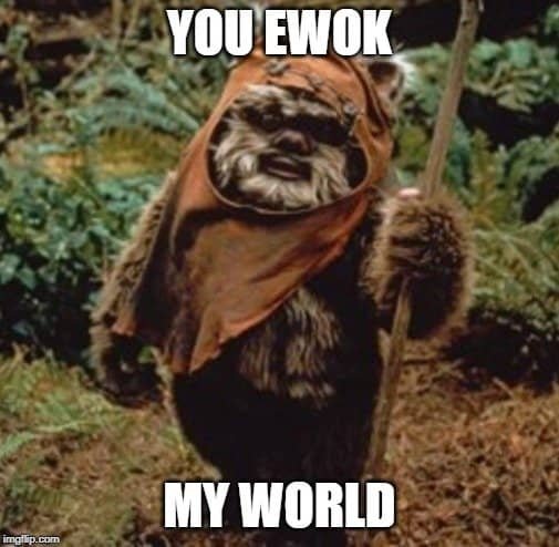 55+ Epic Star Wars Love Quotes That Will Make You Swoon 24 ewok love quote