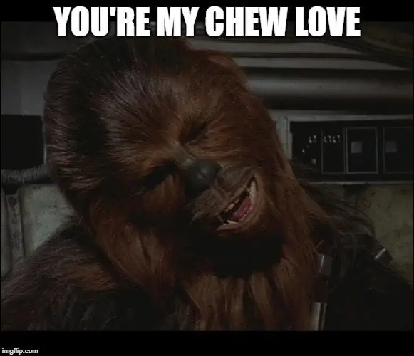 55+ Epic Star Wars Love Quotes That Will Make You Swoon 22 chewy from star wars love pun