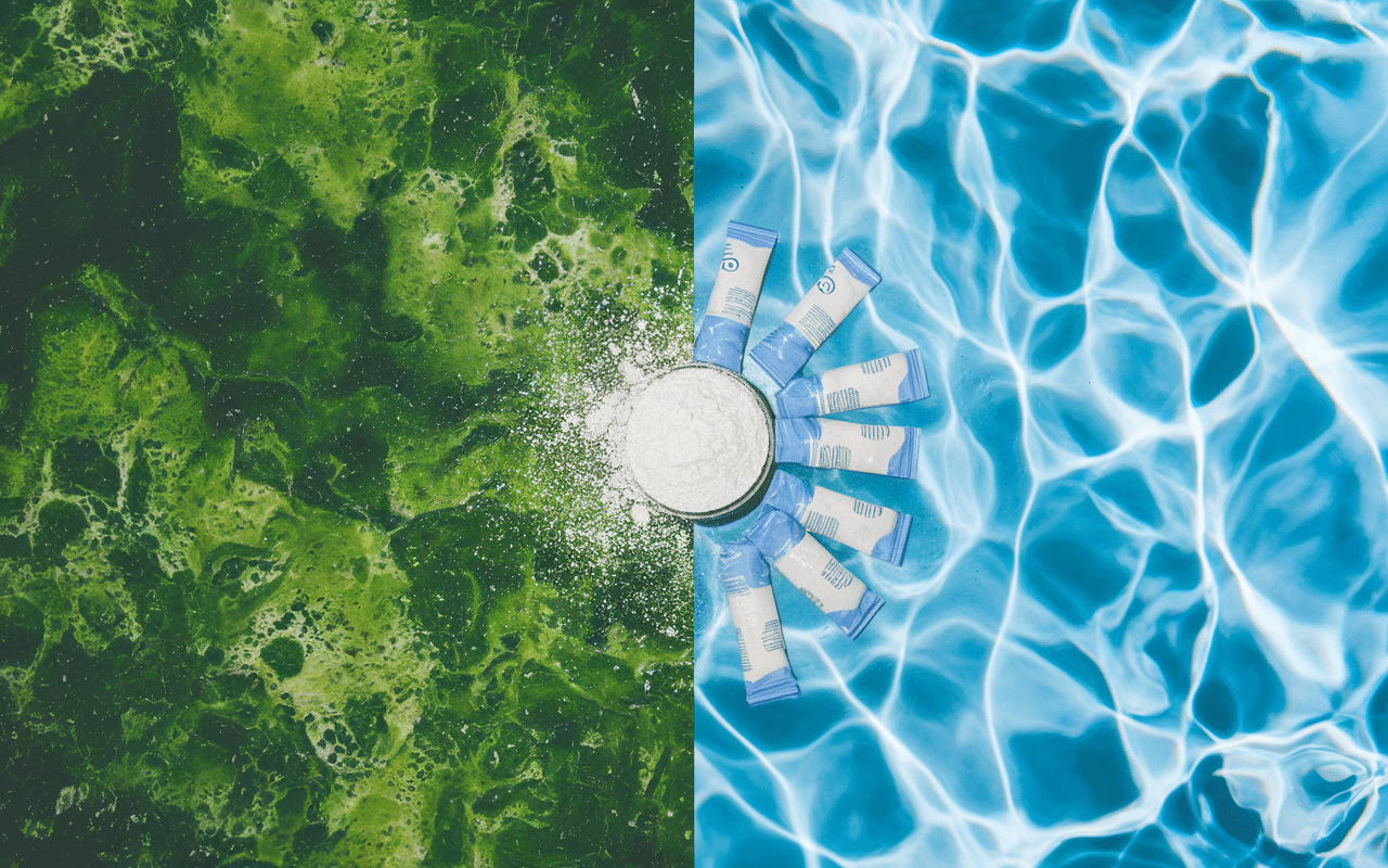 Transformation piscine verte à cristalline