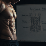 muscles abdominaux antero lateraux sur athlète de profil