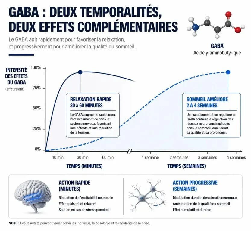 Infographie sur les délais d'action du GABA pour la relaxation et le sommeil