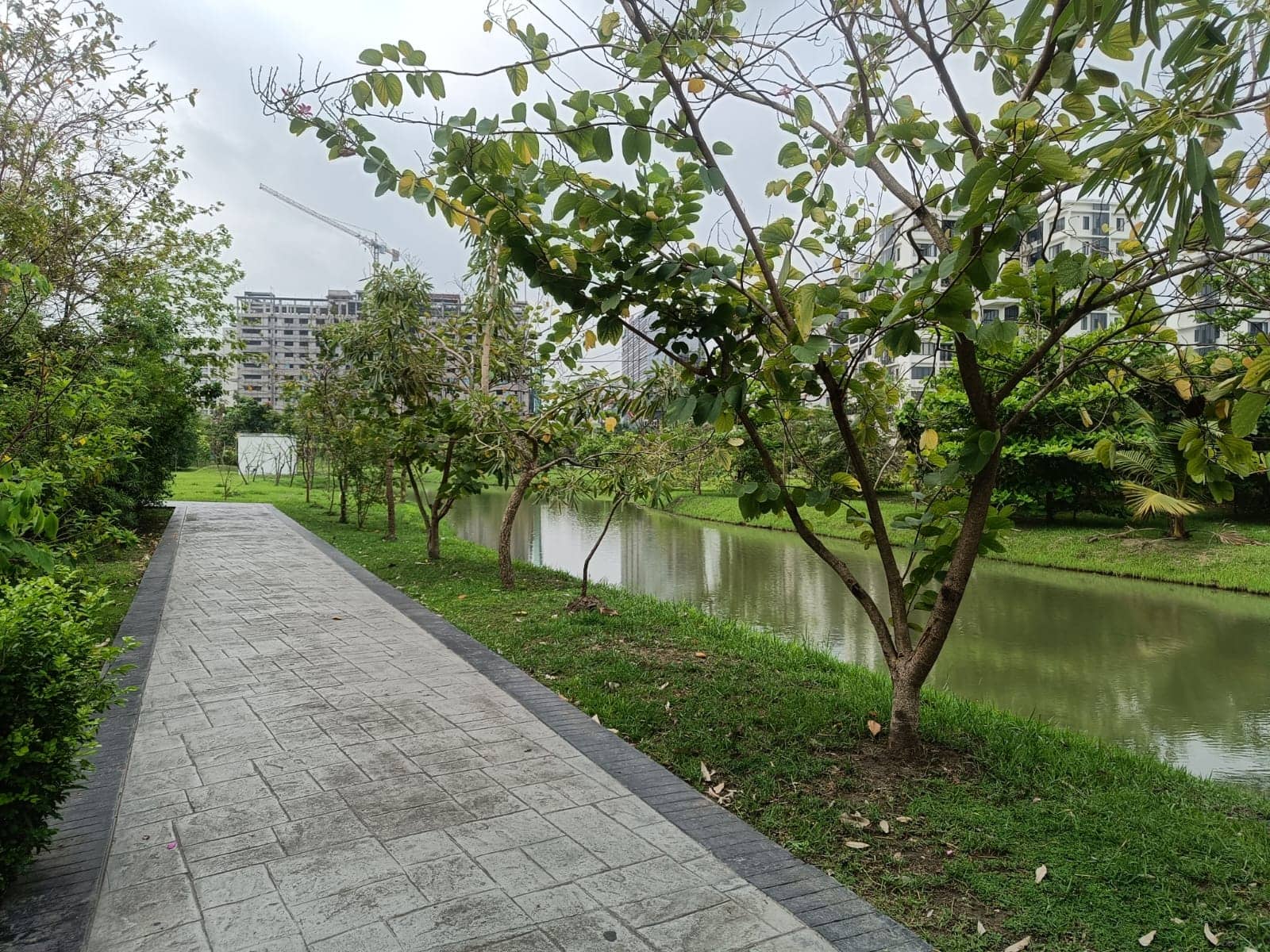 Peaceful park pathway lined with trees and a tranquil water body, showcasing landscape design and na.