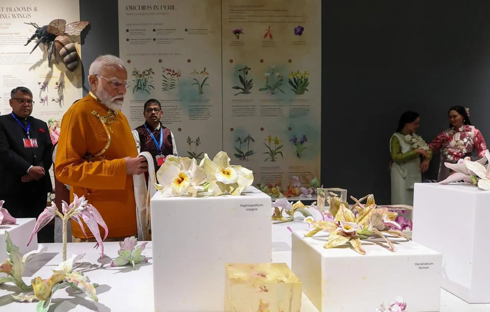 Man observing botanical art and flower arrangements at Salient Design Studio.