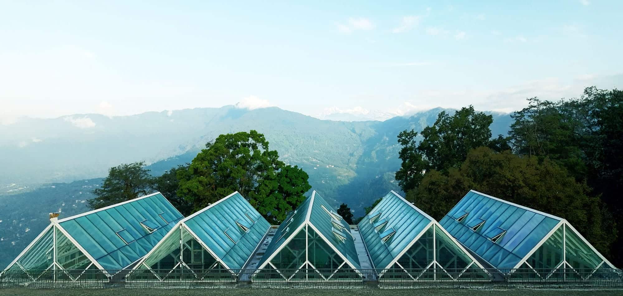 Eco-friendly glass greenhouse with mountain view in lush natural landscape.