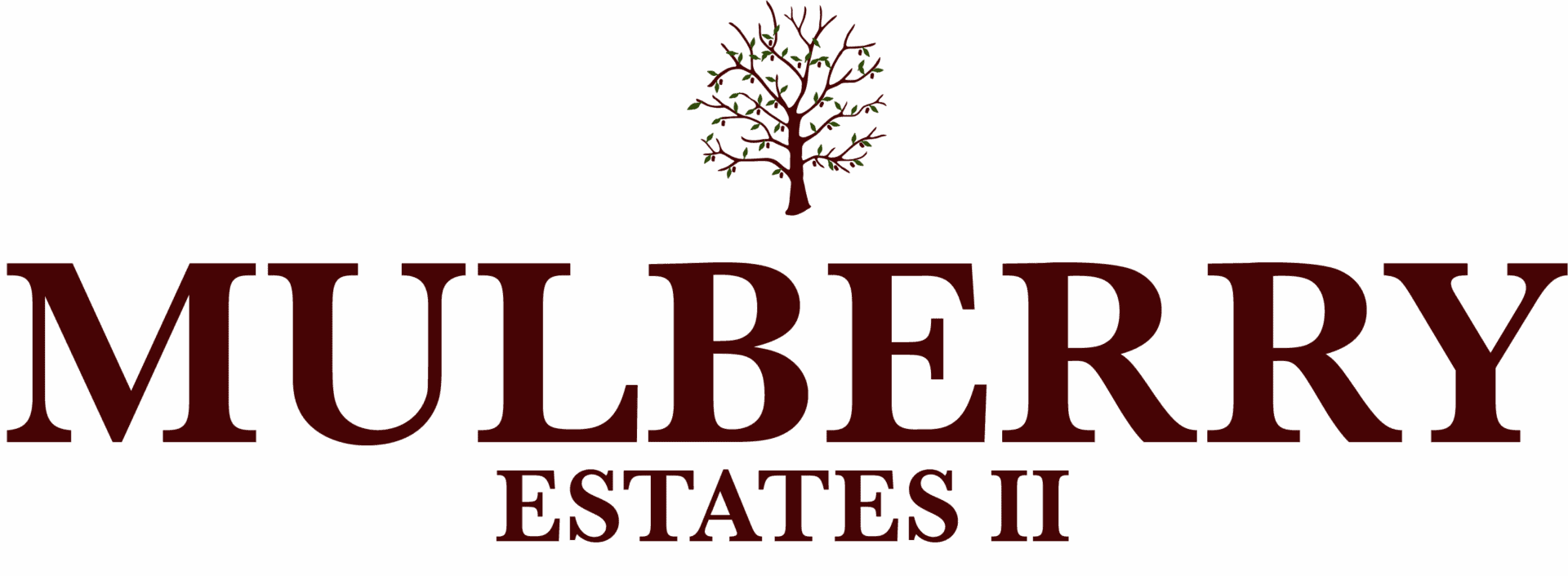 Kodiak Construction - Mulberry Estates II