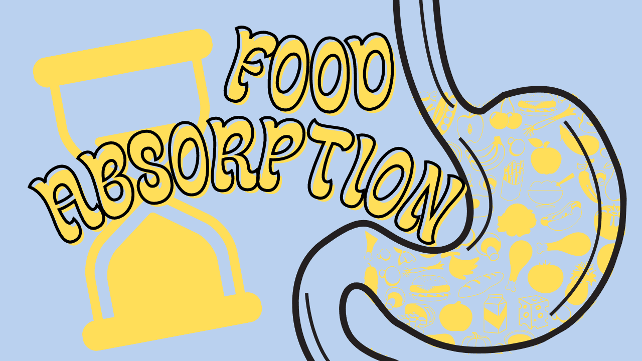 Healthy Eating Tip: Be Aware of Energy in Different Foods! Part 2: Food Absorption