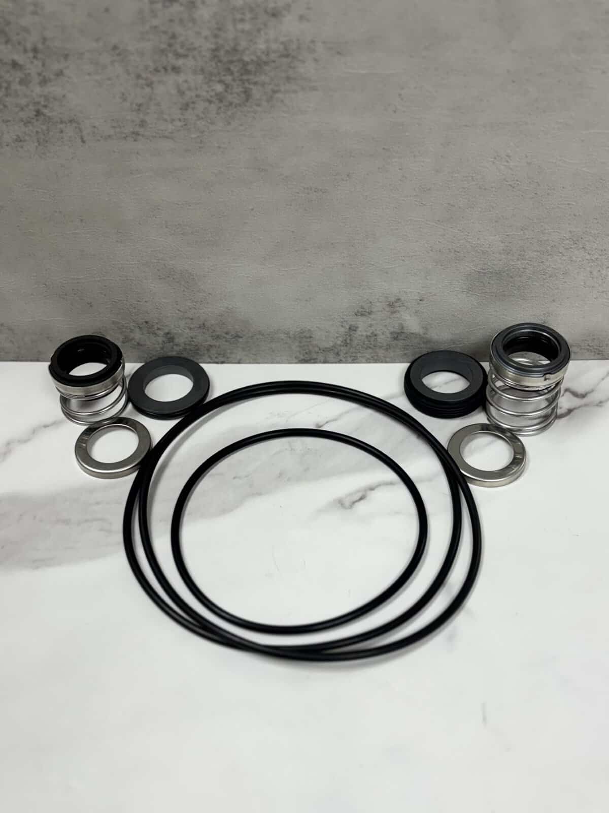 WGL-20-21 myers pump repair kit