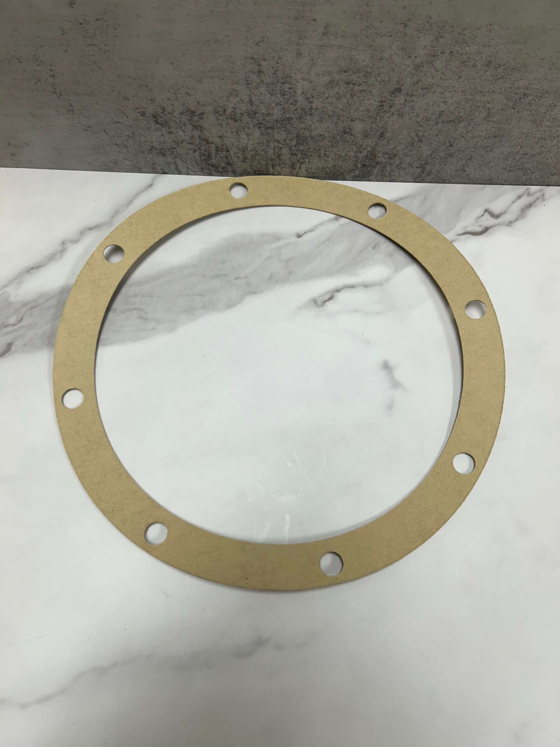 Sta-Rite C-20-46 Pre-Cut Gasket