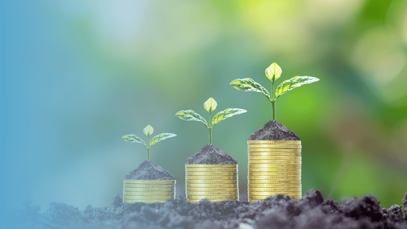 Comment financer votre projet d’assainissement non collectif avec les aides disponibles ?