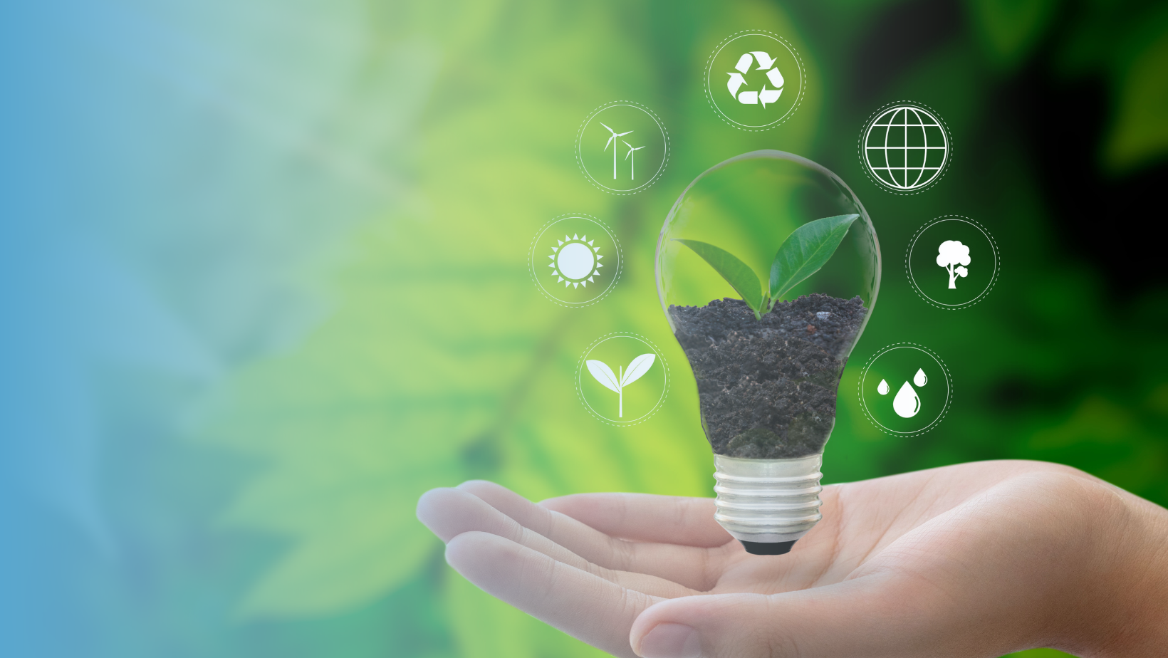 Intégrer les préoccupations environnementales dans les choix techniques des projets d’assainissement