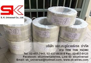 สายไฟ THW 10 MM2 