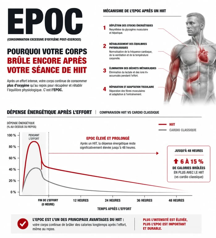 Infographie explicative du mécanisme EPOC et perte de poids avec le HIIT