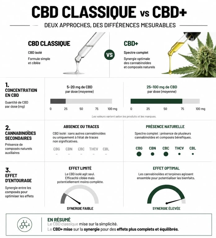Infographie comparative CBD classique vs CBD+ : concentration, effets et cannabinoïdes