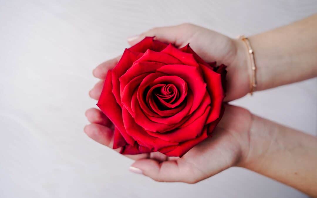 How long do red roses last? The secret to long-lasting Roses 