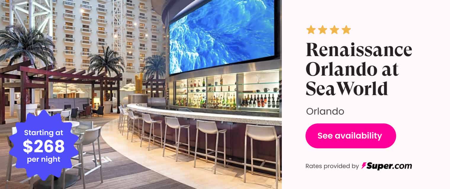 Modern indoor bar at SeaWorld Orlando with island decor and vibrant atmosphere.