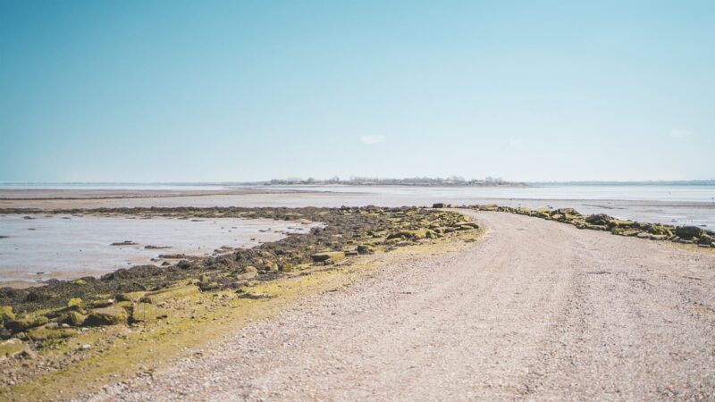 Site for Land Surveying and Topographical Survey