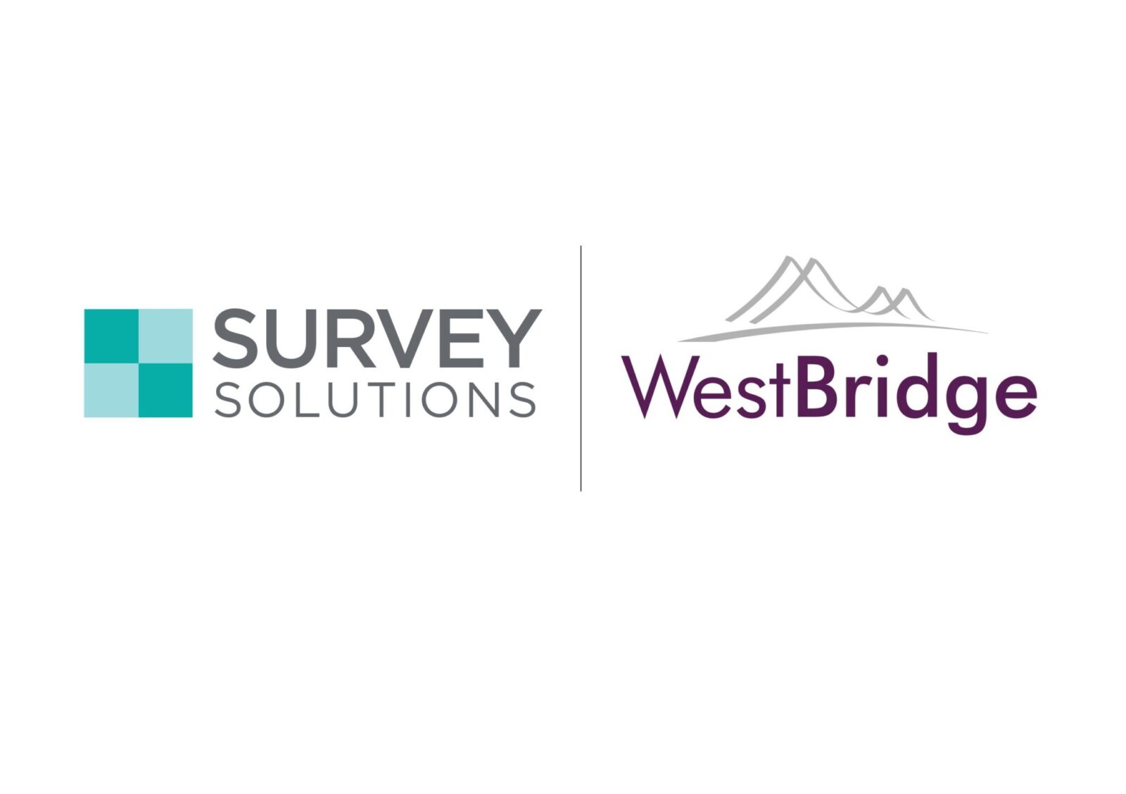 survey solutions growth