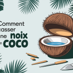Noix de coco ouverte avec outils d'ouverture
