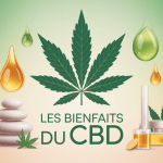 feuille chanvre huile papatilleul.fr bienfaits cbd