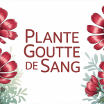 fleurs goutte de sang plante rouge taches noires jardin