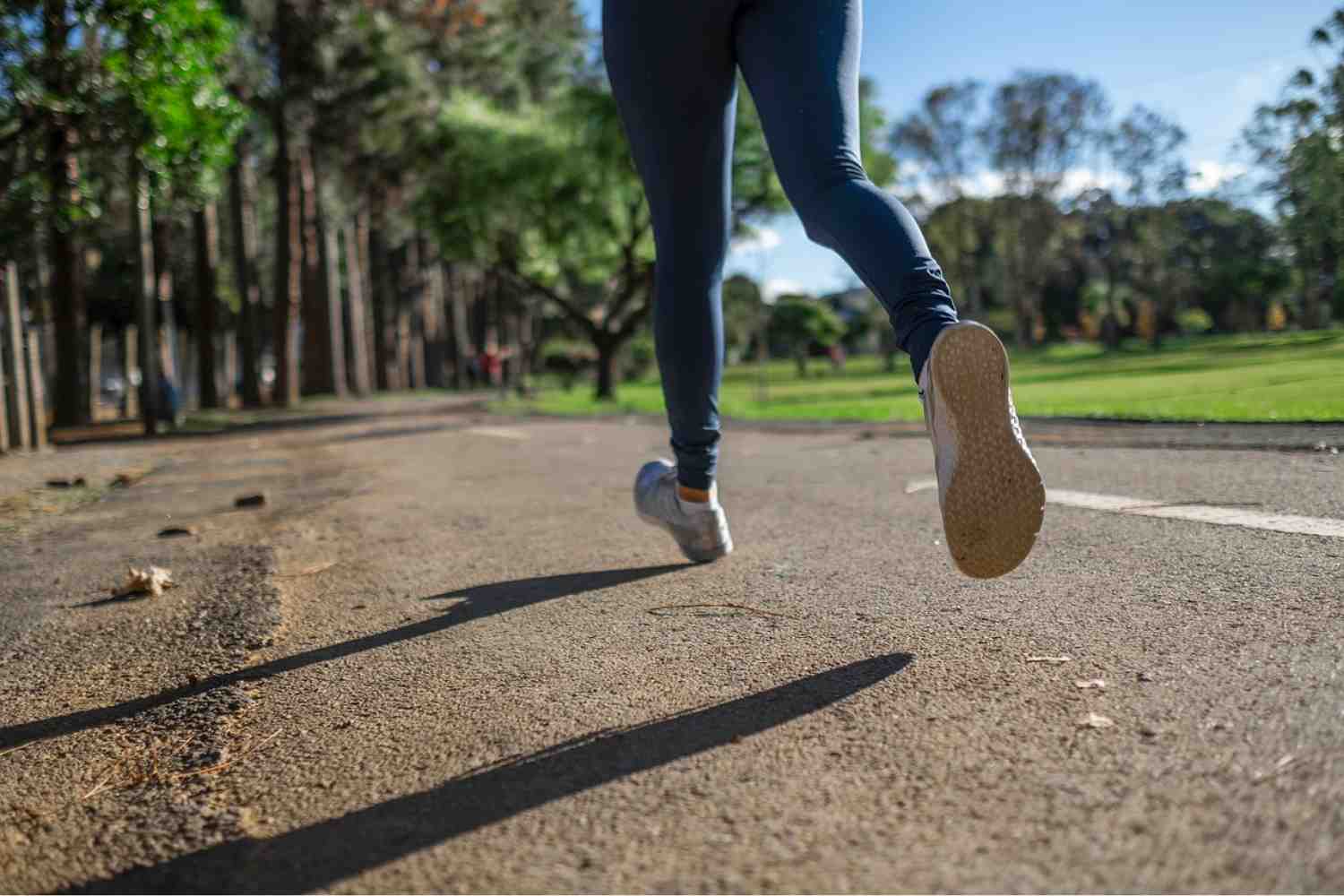 easy-to-do cardio exercises burning calories