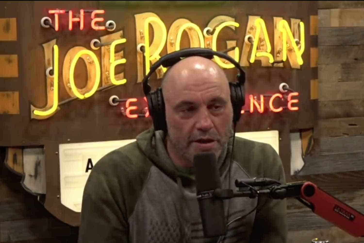 Joe rogan